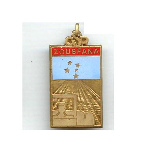 Cie Saharienne Portée de la Zousfana, rectangle, fixation par bélière
