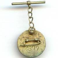 Insigne Chine , non identifié, traduction et identification bienvenues, voir description