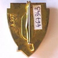 8° Escadre de Chasse  Cazaux , épingle et boléros pincés