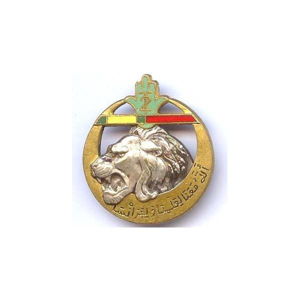 2° Rgt de Tirailleurs Algériens , tête de lion, barre droite aux couleurs Légion d'Honneur et Médaille Militaire, dos guilloché