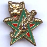 31°Rgt du Génie / 1° Cie