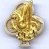 35° Régiment d' Infanterie / Cie d' Eclairage et d' Appui , dragon