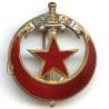 21° Groupement d' Infanterie , "agir", léger éclat