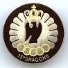 13° Régiment de Dragons Parachutistes / CEA , anneaux orange