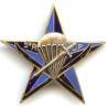 2° Régiment de Chasseurs Parachutistes / Section d'Eclaireurs Skieurs , patiné