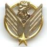 Peloton ALAT / de la 12° Division d'Infanterie  Tlemcen Méchéria , tête de coq, attache cassée