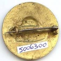 Doubs , Union Départementale des Sapeurs Pompiers , 30 mm, émail