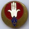 1° Régiment de Spahis Algériens , sans bordure, 1 chevron, D Ber en arc, mauvais état