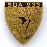 Secteur de Défense Aérienne 933  Oran, guillochage irrégulier