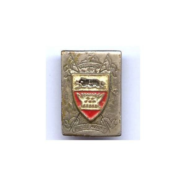 4° Régiment de Dragons en Extrême-Orient , sanglier, pagode , métal chromé peint