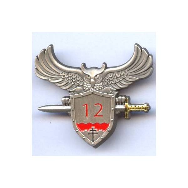 Centre de Formation Initiale Militaite / 12° Cie , chouette