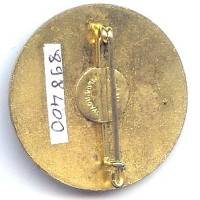 5° Régiment de Tirailleurs Algériens , livre émaillé, 36 mm