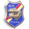 Garde Montagnarde de Pleiku , attache remplacée