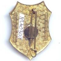 Garde Montagnarde de Pleiku , attache remplacée
