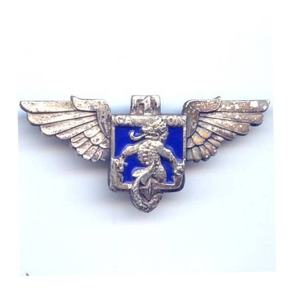 1° Groupe Aérien d' Observation de l' Artillerie en EO , ailes, dragon