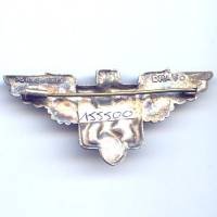 1° Groupe Aérien d' Observation de l' Artillerie en EO , ailes, dragon