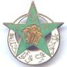 5° Rgt de Tirailleurs Marocains , tête de lion