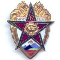 6° Régiment de Tirailleurs Marocains / 3° Bataillon de Marche en Extrême-Orient , tête de tigre et dragons