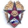 6° Régiment de Tirailleurs Marocains / 3° Bataillon de Marche en Extrême-Orient , tête de tigre et dragons