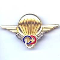 Brevet de Moniteur Parachutiste , tirage 2001, doré, pontets