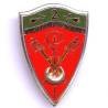 2° Régiment de Chasseurs à Cheval , pontets