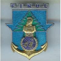 17° RGP / CA FINUL 81,...