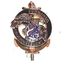 8° RPIMa / Commando...