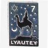GJF 46 / Groupe 7  "Lyautey", rectangle, méhariste, aluminium peint