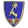9° Régiment de Chasseurs d'Afrique , fond émaillé, patiné