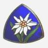 GJF 10 / Groupe 5  Brévadière , édelweiss, émail bleu, dos grenu