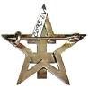 1° Régiment de Spahis Marocains / 2° Division Blindée , grosse croix de Lorraine sur étoile, épingle à pivot