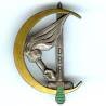 Demi-Brigade de Recherche , garde verte