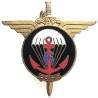 6° Régiment Parachutiste d'Infanterie de Marine , grand A, émail