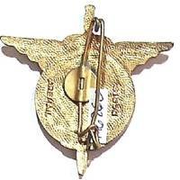6° Régiment Parachutiste d'Infanterie de Marine , grand A, émail