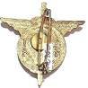 6° Régiment Parachutiste d'Infanterie de Marine , grand A, émail