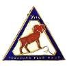 173° Régiment d'Infanterie Alpine / I° Bataillon , bouquetin ajouré, "toujours plus haut", Corse