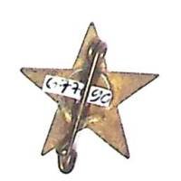 Corps Franc Pommiès  (49° RI) , 17 mm, peint