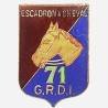 71° Groupe de Reconnaissance de Division d'Infanterie / Escadron à Cheval