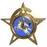6° Régiment de Spahis Marocains , étoile, cavalier, 6 fermé