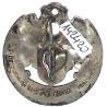 8° Régiment de Spahis Algériens , devise française, bande argentée, dos argenté, rayé, éclats, attache abimée
