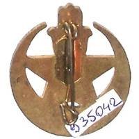 1° Division d'Infanterie Nord-Africaine / Peloton anti-chars , légers éclats