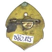 Régiment de Marche du Tchad  FFL , petit modèle plat, émail, organeau ajouré