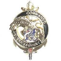 8° RPIMa / Commando...