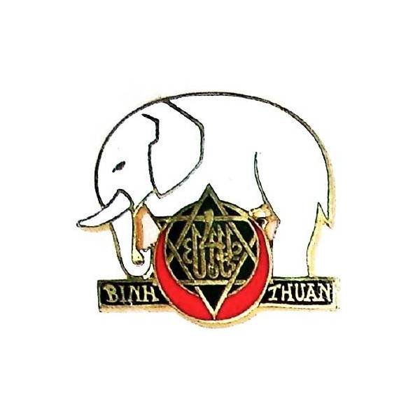4° Régiment de Tirailleurs Tunisiens / Bataillon de Marche en Extrême-Orient , "Binh Thuan"