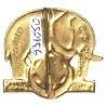 4° Régiment de Tirailleurs Tunisiens / Bataillon de Marche en Extrême-Orient , "Binh Thuan"