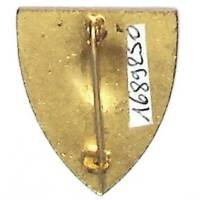 37° Régiment d'Infanterie , Turenne, Régiment des Vosges, 25 x 29, épingle à pivot