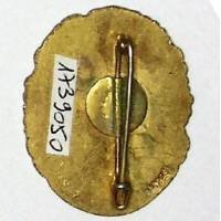 134° Régiment d'Infanterie , tête de gaulois, ovale, émail, cheveux marrons