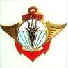 4° Bataillon Colonial de Commandos Parachutistes , guillochage droit, 1 boléro Drago