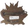 1° Régiment Etranger de Cavalerie / Equipage d'Elite , Véhicule de l'Avant Blindé