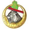 2° Régiment de Tirailleurs Algériens , tête de lion, barre oblique rouge, émail, légère rayure, D Ber en arc, gros boléro lisse